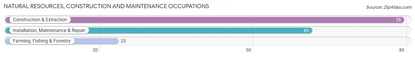 Natural Resources, Construction and Maintenance Occupations in Zip Code 48871