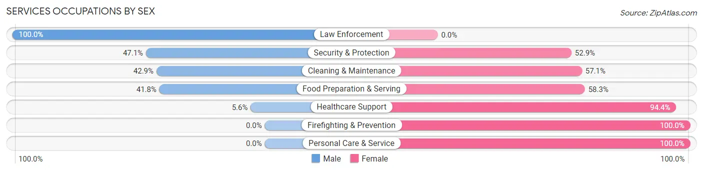 Services Occupations by Sex in Zip Code 48872