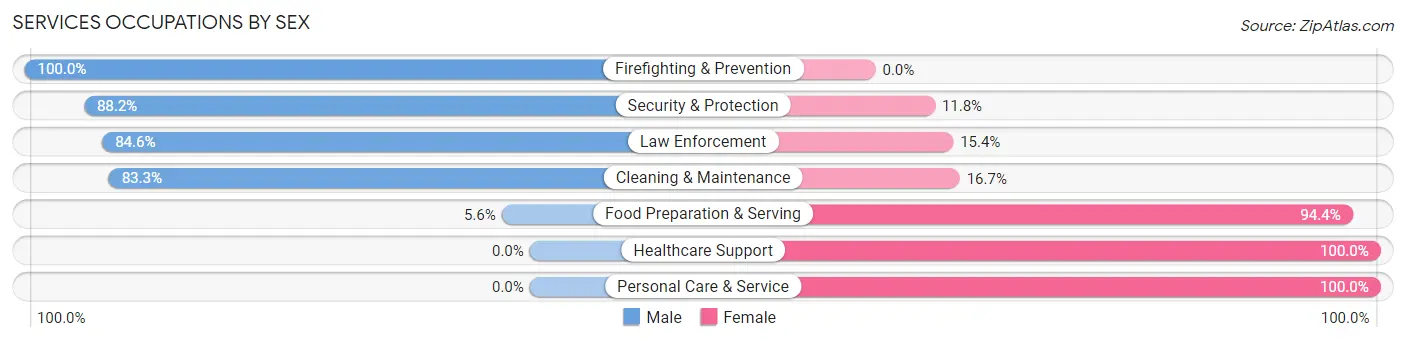Services Occupations by Sex in Zip Code 48873
