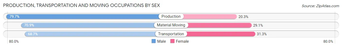 Production, Transportation and Moving Occupations by Sex in Zip Code 48876