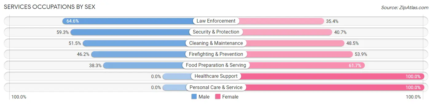Services Occupations by Sex in Zip Code 48876