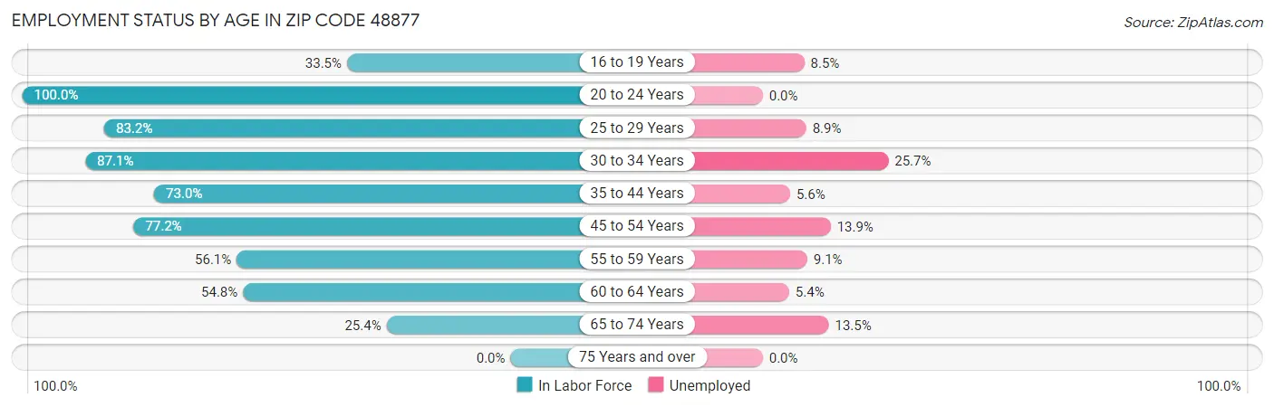 Employment Status by Age in Zip Code 48877