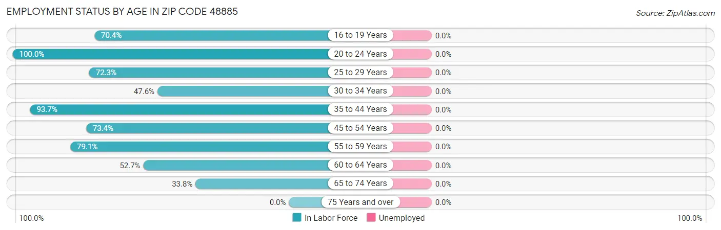 Employment Status by Age in Zip Code 48885