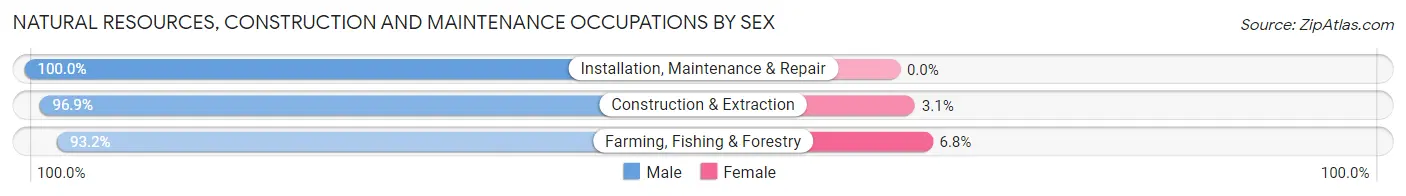 Natural Resources, Construction and Maintenance Occupations by Sex in Zip Code 48888