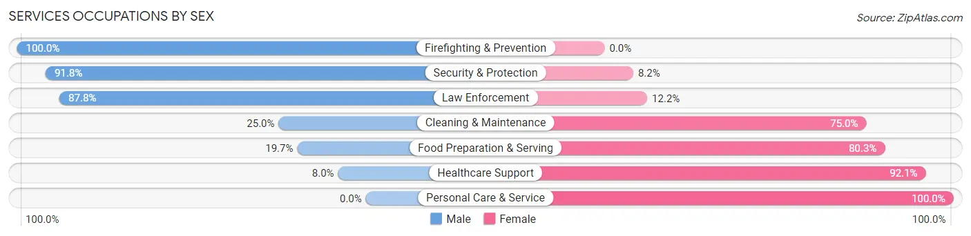 Services Occupations by Sex in Zip Code 48891