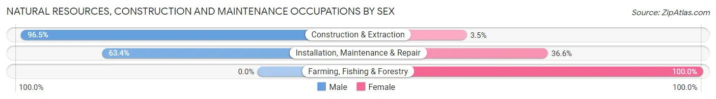 Natural Resources, Construction and Maintenance Occupations by Sex in Zip Code 48895