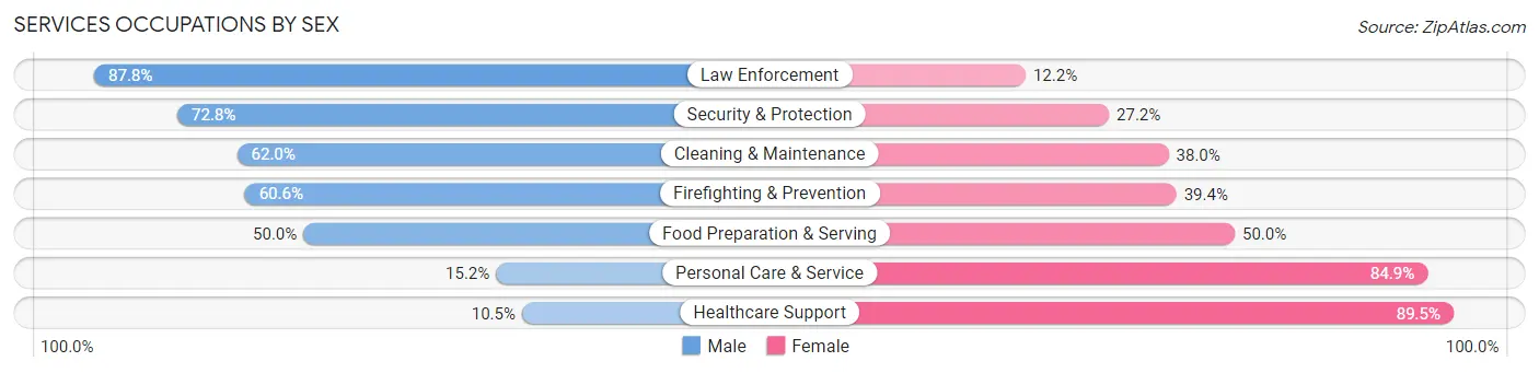 Services Occupations by Sex in Zip Code 48906