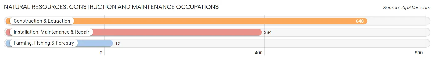 Natural Resources, Construction and Maintenance Occupations in Zip Code 48917