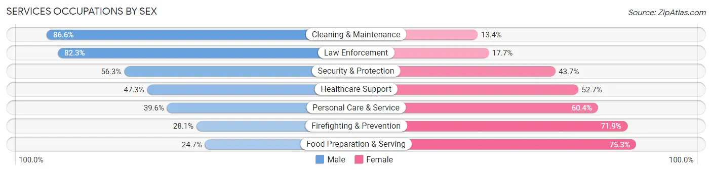 Services Occupations by Sex in Zip Code 49001