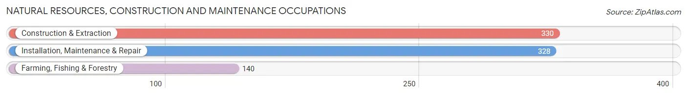 Natural Resources, Construction and Maintenance Occupations in Zip Code 49004