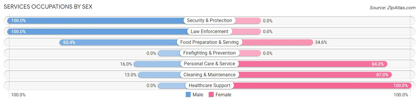 Services Occupations by Sex in Zip Code 49011