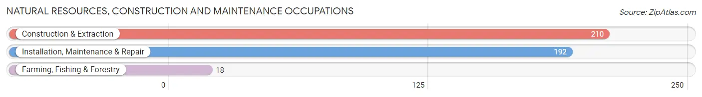 Natural Resources, Construction and Maintenance Occupations in Zip Code 49021