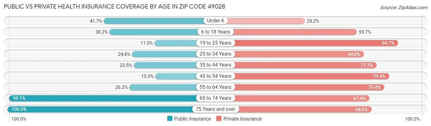 Public vs Private Health Insurance Coverage by Age in Zip Code 49028