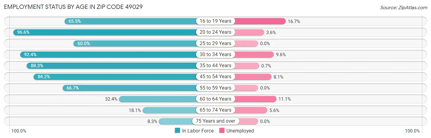 Employment Status by Age in Zip Code 49029