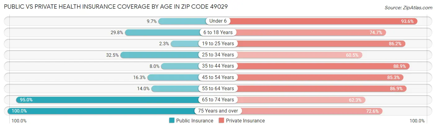 Public vs Private Health Insurance Coverage by Age in Zip Code 49029