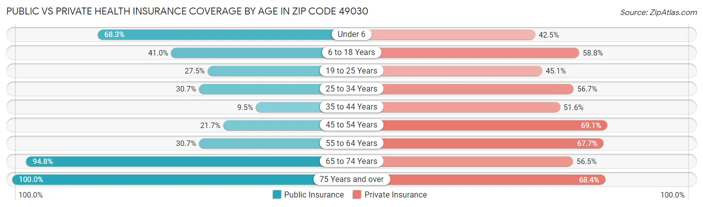 Public vs Private Health Insurance Coverage by Age in Zip Code 49030