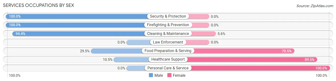 Services Occupations by Sex in Zip Code 49030