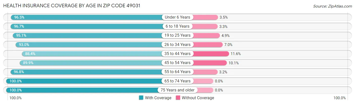 Health Insurance Coverage by Age in Zip Code 49031