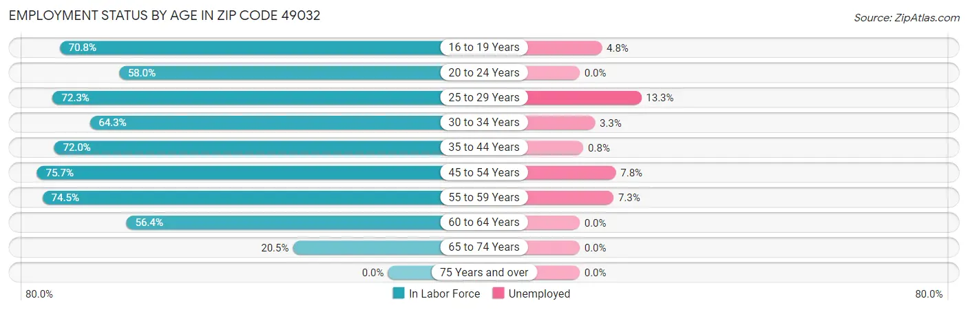 Employment Status by Age in Zip Code 49032