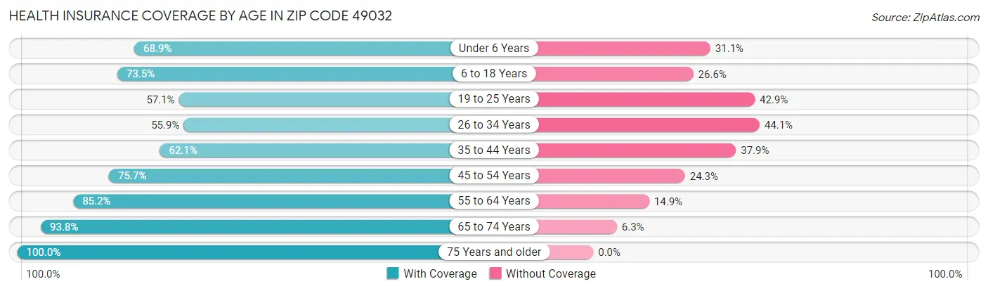Health Insurance Coverage by Age in Zip Code 49032