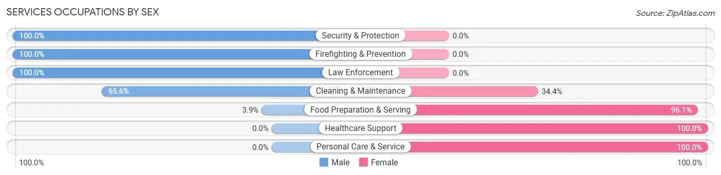 Services Occupations by Sex in Zip Code 49032