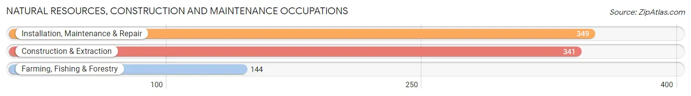 Natural Resources, Construction and Maintenance Occupations in Zip Code 49036