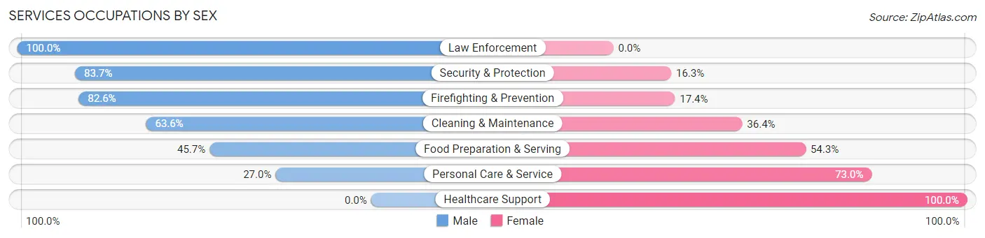 Services Occupations by Sex in Zip Code 49038