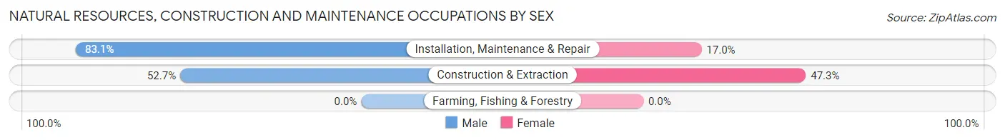 Natural Resources, Construction and Maintenance Occupations by Sex in Zip Code 49040