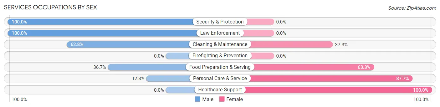Services Occupations by Sex in Zip Code 49040