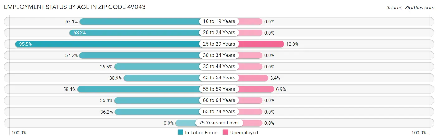 Employment Status by Age in Zip Code 49043