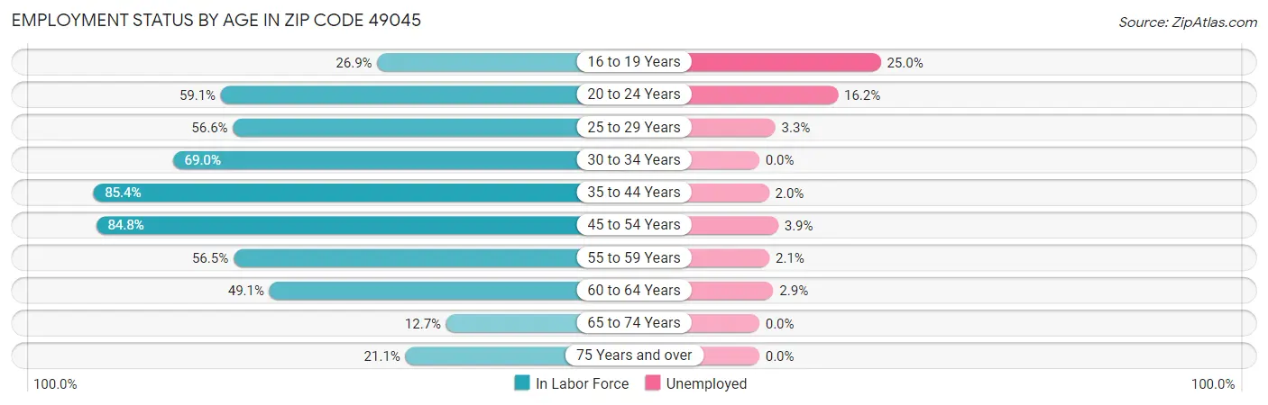 Employment Status by Age in Zip Code 49045