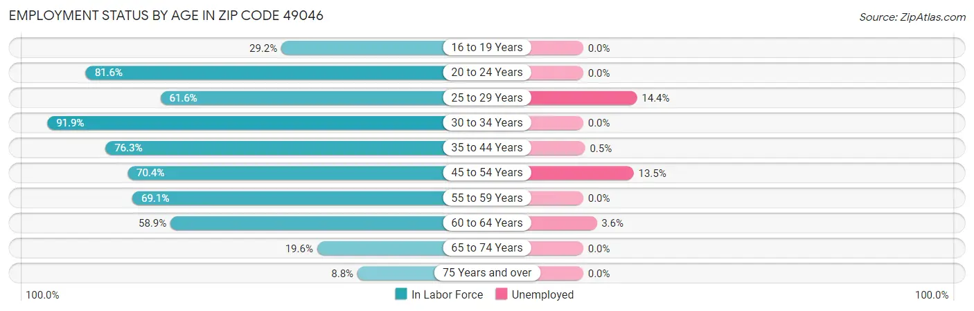 Employment Status by Age in Zip Code 49046