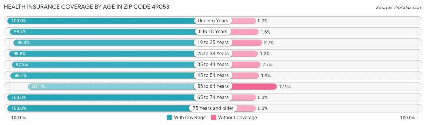 Health Insurance Coverage by Age in Zip Code 49053