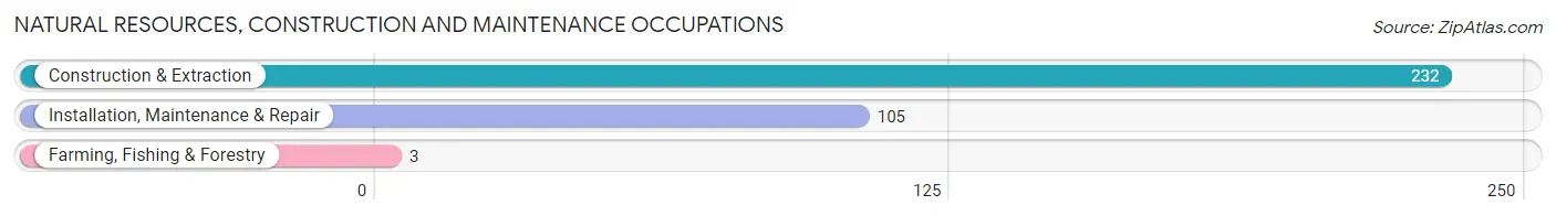 Natural Resources, Construction and Maintenance Occupations in Zip Code 49053