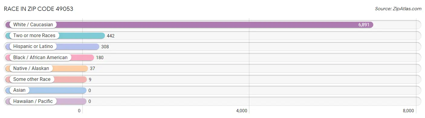 Race in Zip Code 49053