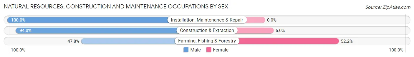 Natural Resources, Construction and Maintenance Occupations by Sex in Zip Code 49055