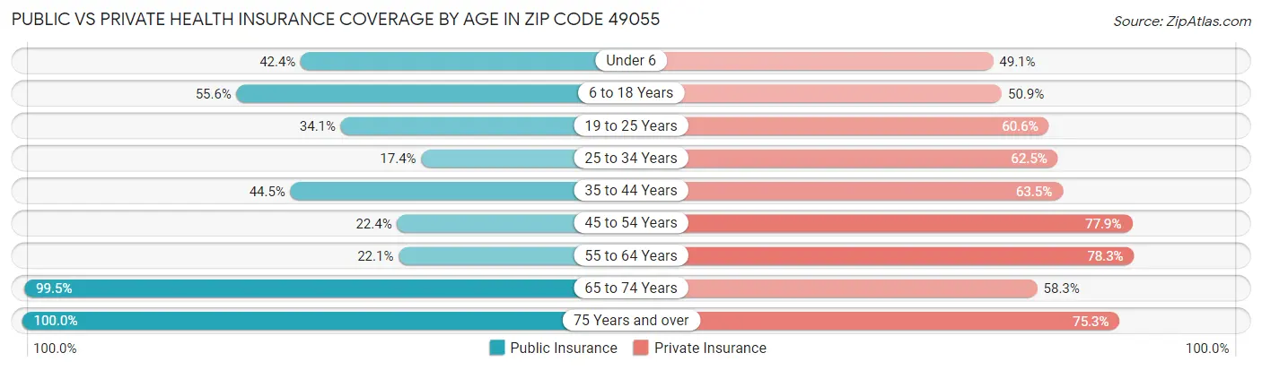 Public vs Private Health Insurance Coverage by Age in Zip Code 49055