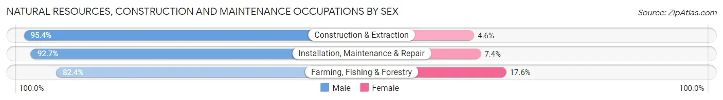 Natural Resources, Construction and Maintenance Occupations by Sex in Zip Code 49058
