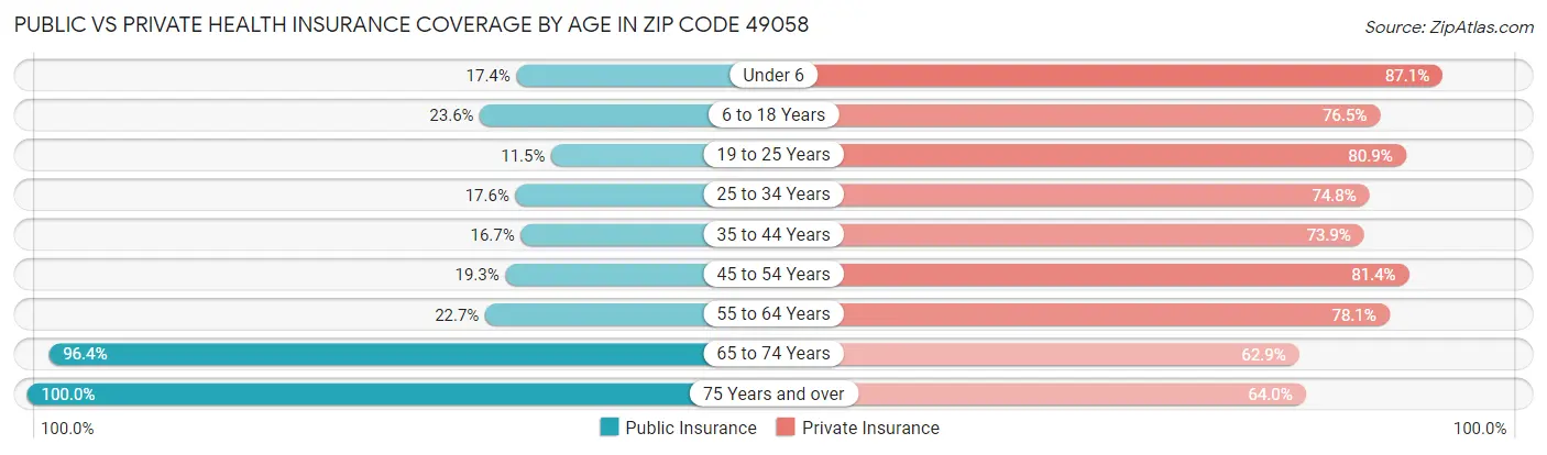 Public vs Private Health Insurance Coverage by Age in Zip Code 49058