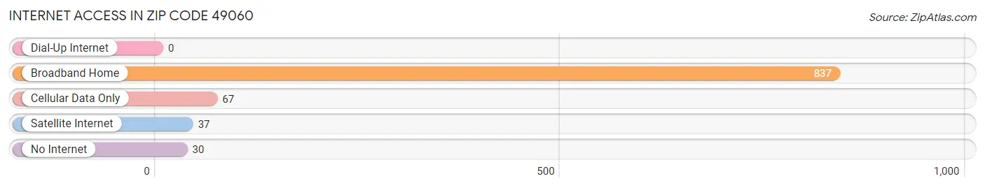 Internet Access in Zip Code 49060