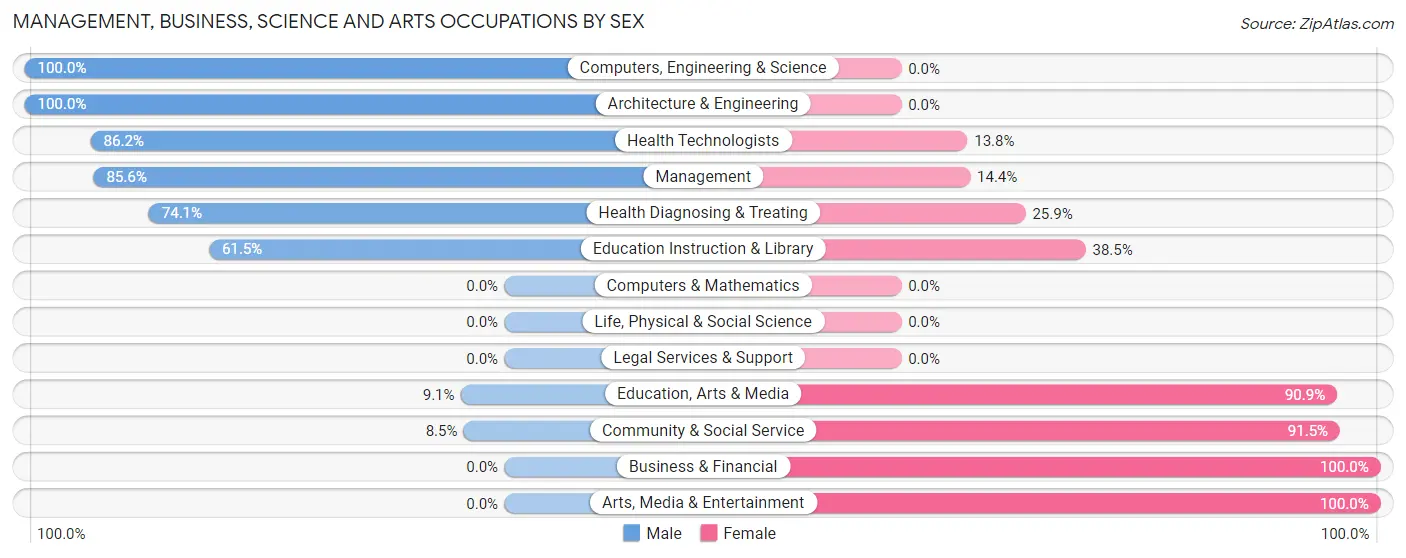 Management, Business, Science and Arts Occupations by Sex in Zip Code 49060