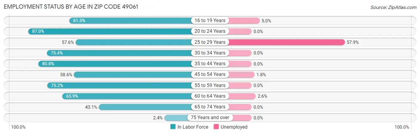 Employment Status by Age in Zip Code 49061