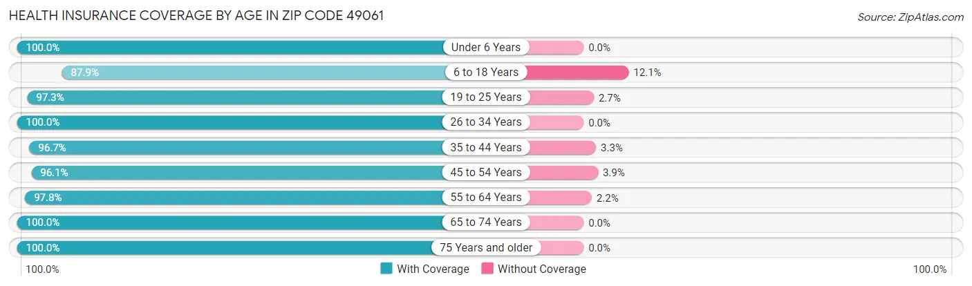 Health Insurance Coverage by Age in Zip Code 49061