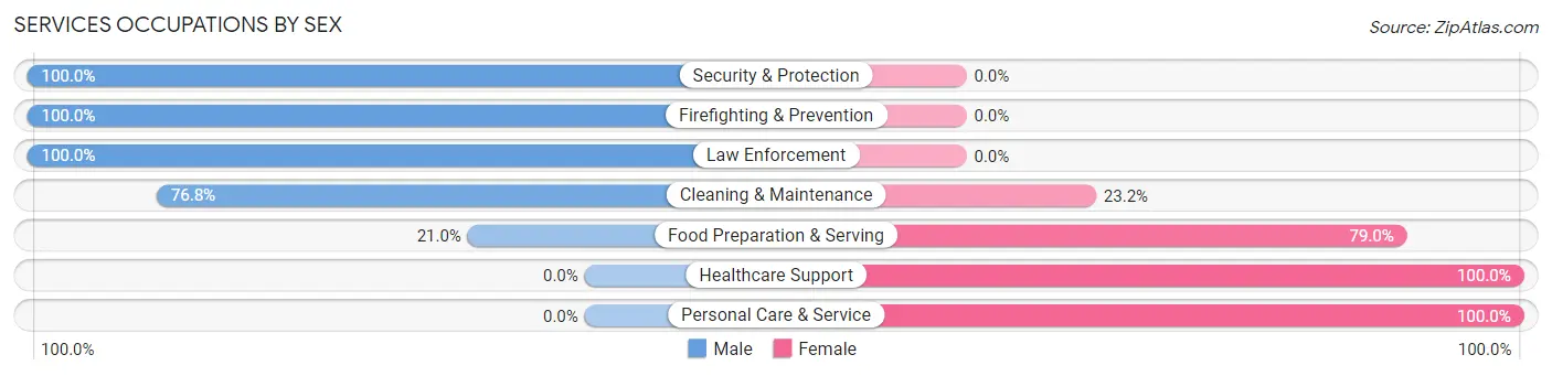 Services Occupations by Sex in Zip Code 49064