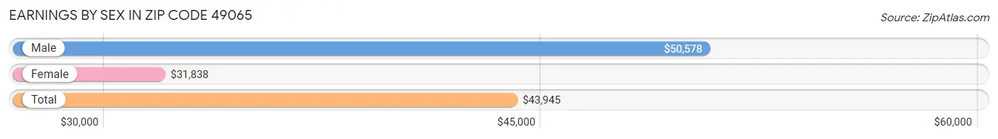 Earnings by Sex in Zip Code 49065