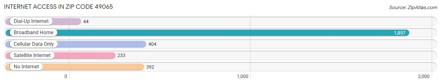 Internet Access in Zip Code 49065