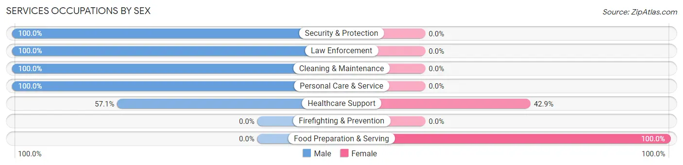 Services Occupations by Sex in Zip Code 49066