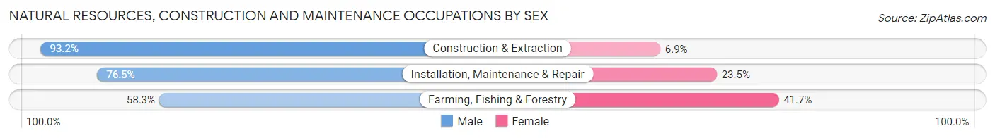Natural Resources, Construction and Maintenance Occupations by Sex in Zip Code 49070