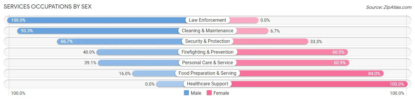Services Occupations by Sex in Zip Code 49070
