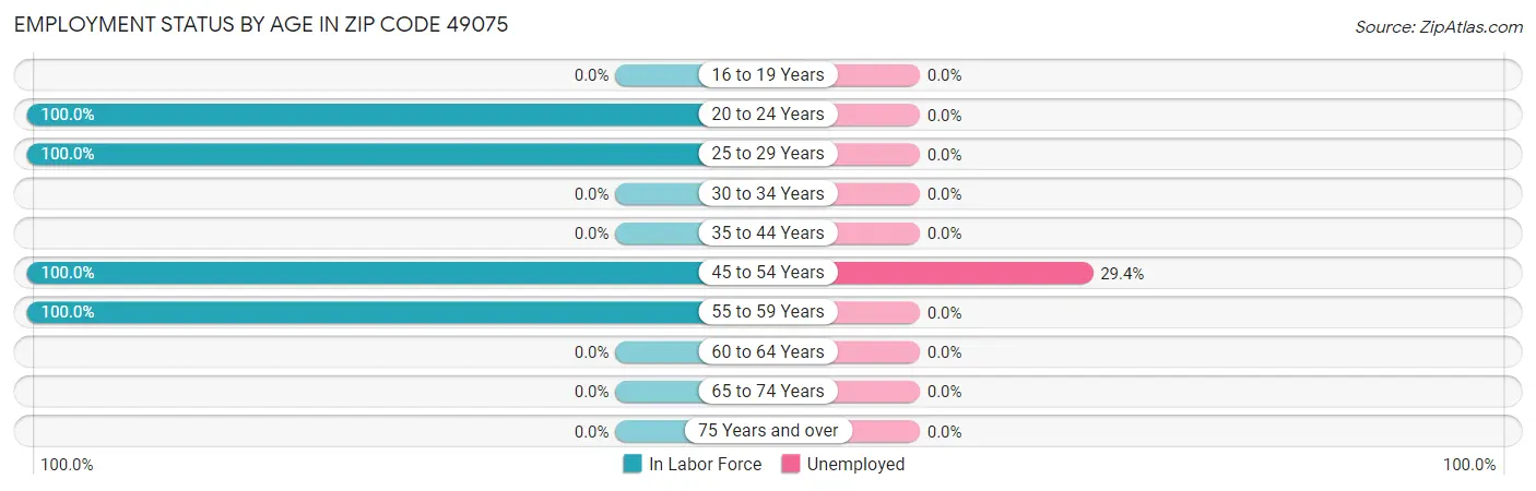 Employment Status by Age in Zip Code 49075